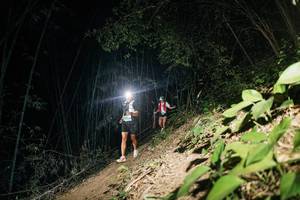 BIB: 
                            <button type="button" onclick="openModal(28116831)" class="btn btn-primary btn-sm float-right btn-popup" data-toggle="modal" data-target=".modal-high-quality">
                        <i class="fas fa-shopping-cart"></i> Add to Cart
                    </button>
                                            <button type="button" onclick="isThisMe(28116831, true)" class="btn btn-success btn-sm float-right btn-popup btn-isme hidden" data-toggle="tooltip" data-placement="bottom" title="นี่คือรูปของคุณใช่ไหม คลิกที่นี่เพื่อเอาเข้าอัลบั้ม">
                        <i class="fas fa-plus"></i> Add to album
                    </button>
                    <button type="button" onclick="isThisMe(28116831, false)" class="btn btn-warning btn-sm float-right btn-popup btn-isnotme hidden">
                        <i class="fas fa-ban"></i> Remove from album
                    </button>